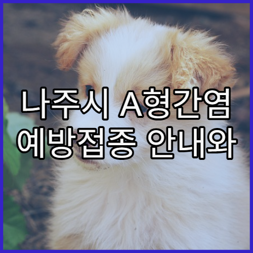 나주시 A형간염 예방접종 안내와 해당 병원 위치 및 접종 절차 상세 설명