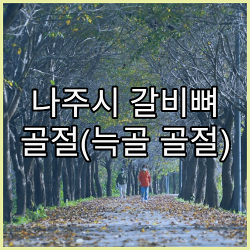 나주시 갈비뼈 골절(늑골 골절) 통증 치료 병원 안내와 호흡재활 및 진통 관리 방법