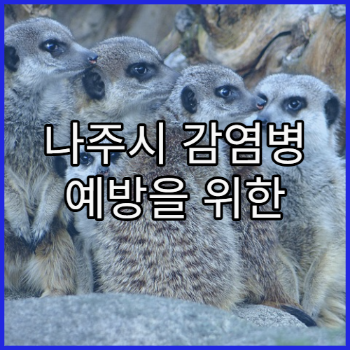 나주시 감염병 예방을 위한 무료 예방접종 정보