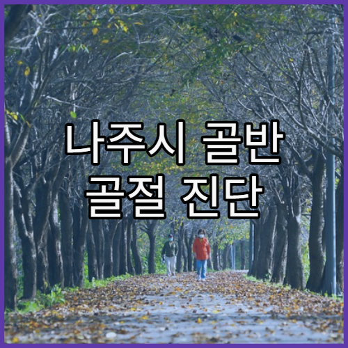 나주시 골반 골절 진단 및 수술 가능한 병원 정보와 고령자 특화 재활 과정 안내