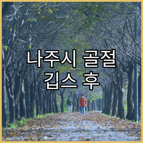 나주시 골절 깁스 후 통증 관리 및 재활치료 병원 추천과 깁스 내 압박 예방 관리법