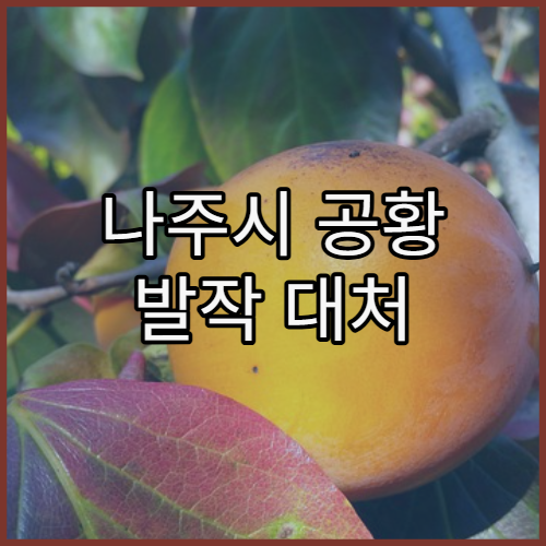 나주시 공황 발작 대처 정신과 치료 안내