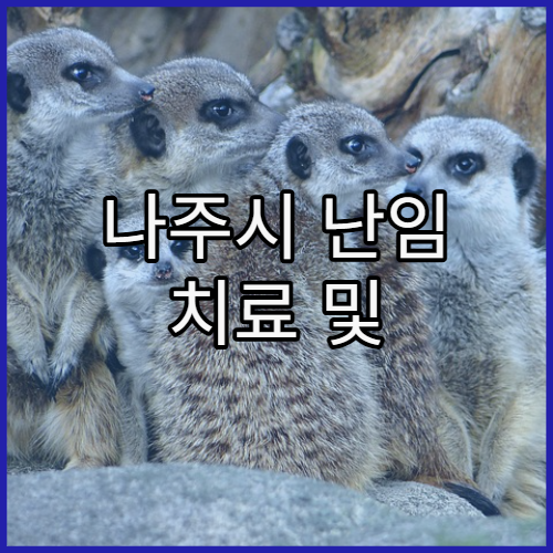 나주시 난임 치료 및 시험관 아기 시술 전문 병원 추천과 성공률 높이는 팁