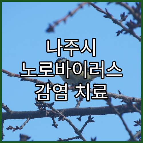 나주시 노로바이러스 감염 치료 및 식중독 예방 병원 추천과 응급 대처 가이드 제공