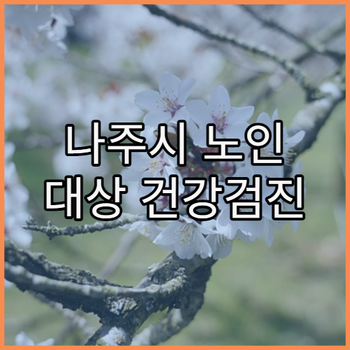 나주시 노인 대상 건강검진 혜택 병원 소개