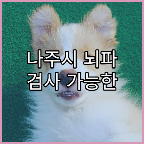 나주시 뇌파 검사 가능한 신경과 전문 병원 위치와 진료 정보 상세 안내
