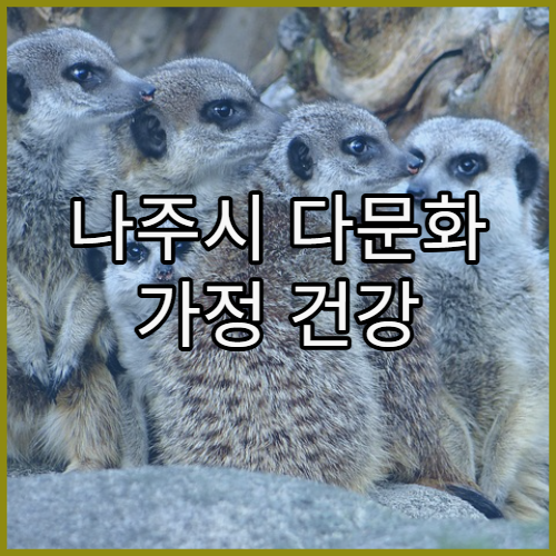 나주시 다문화 가정 건강 지원 프로그램 안내