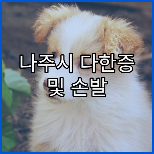 나주시 다한증 및 손발 땀 치료 전문 병원 찾기와 보톡스·수술 옵션 비교
