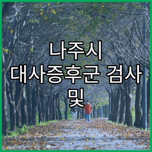 나주시 대사증후군 검사 및 체중 관리 클리닉 찾기와 생활습관 개선 프로그램 가이드