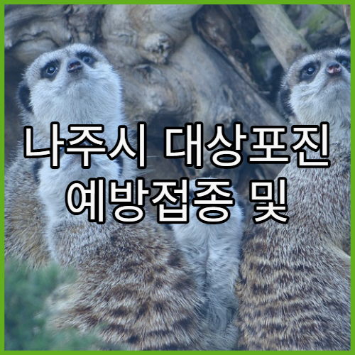 나주시 대상포진 예방접종 및 신경통 치료 병원 리스트와 50대 이상 추천 백신 안내