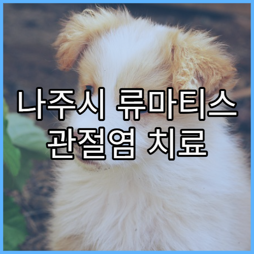 나주시 류마티스 관절염 치료 및 정밀 검사 가능한 병원 리스트와 조기 치료 중요성