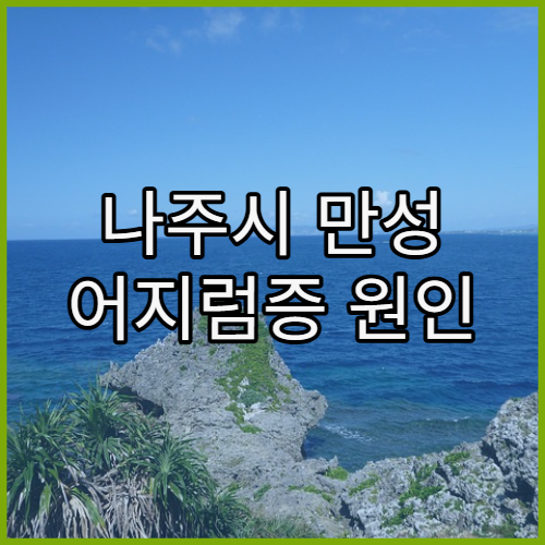 나주시 만성 어지럼증 원인 검사 및 치료 가능한 병원 정보와 전정재활 프로그램 가이드