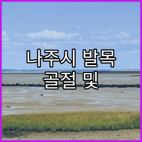 나주시 발목 골절 및 인대 손상 재활 병원 추천과 기능적 깁스 및 물리치료 과정