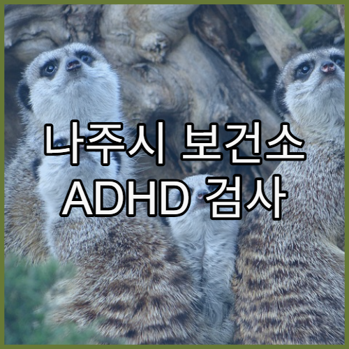 나주시 보건소 ADHD 검사 및 심리상담 연계 안내