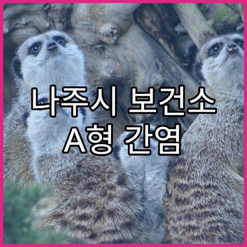 나주시 보건소 A형 간염 예방접종 접수 가능한 장소