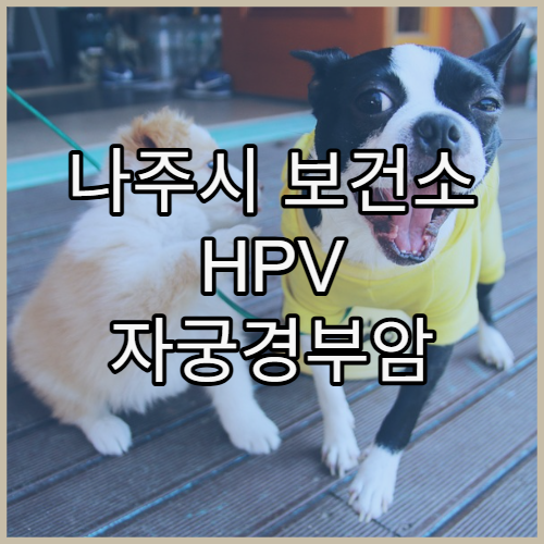 나주시 보건소 HPV 자궁경부암 예방접종 대상 및 지원 내용