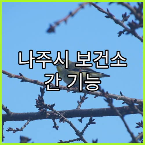 나주시 보건소 간 기능 검사 종류 및 결과 확인 방법