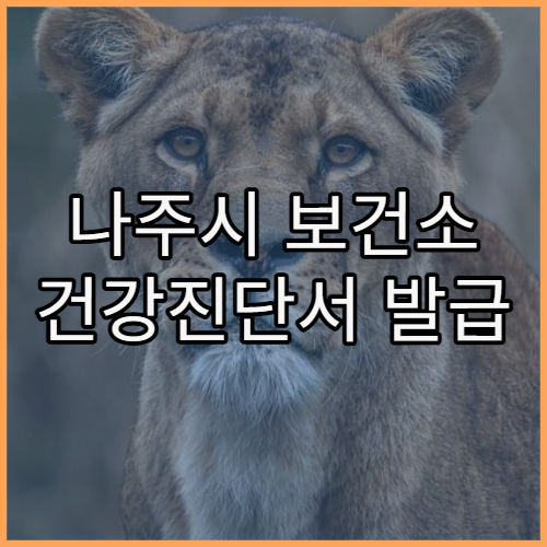 나주시 보건소 건강진단서 발급 절차와 평균 소요 시간 안내