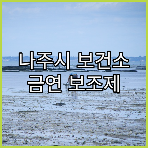 나주시 보건소 금연 보조제 지원 및 상담 프로그램