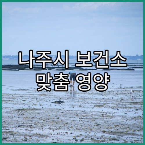나주시 보건소 맞춤 영양 상담 서비스 운영 여부