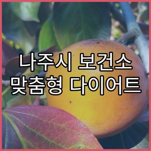 나주시 보건소 맞춤형 다이어트 프로그램 운영 현황