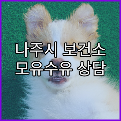 나주시 보건소 모유수유 상담 및 유축기 대여 지원 안내