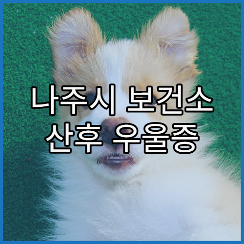나주시 보건소 산후 우울증 상담 및 치료 지원