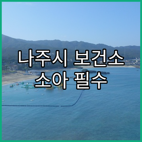 나주시 보건소 소아 필수 예방접종 시기 한눈에 보기