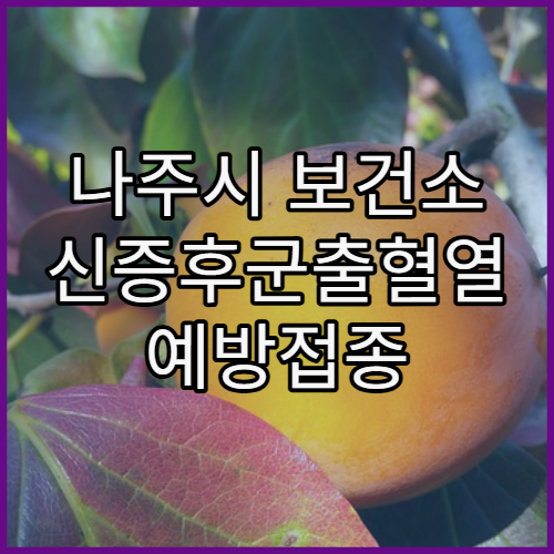 나주시 보건소 신증후군출혈열 예방접종 운영 여부