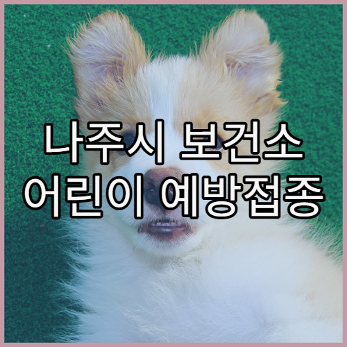 나주시 보건소 어린이 예방접종 증명서 발급 방법