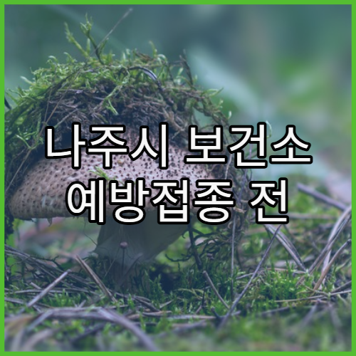 나주시 보건소 예방접종 전 반드시 확인할 사항