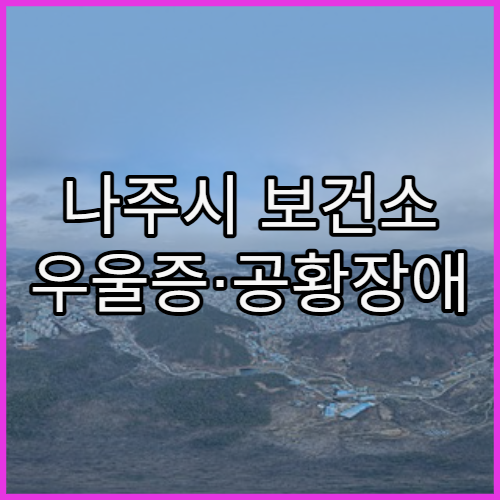 나주시 보건소 우울증·공황장애 상담 절차