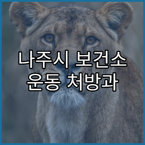 나주시 보건소 운동 처방과 생활습관 개선 프로그램