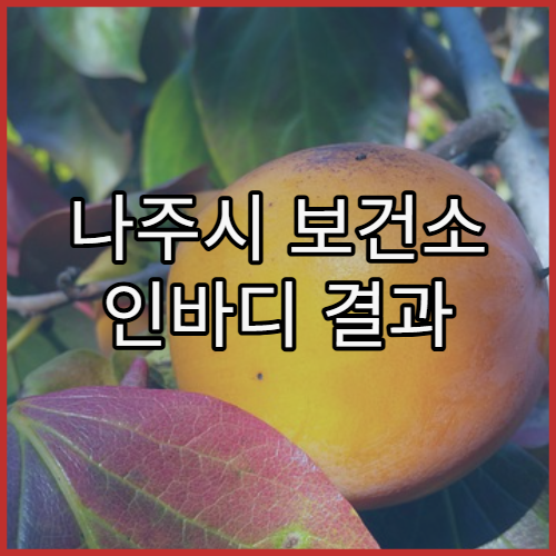 나주시 보건소 인바디 결과 해석과 건강 관리 팁