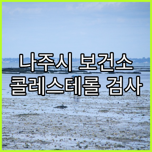 나주시 보건소 콜레스테롤 검사 지원 여부