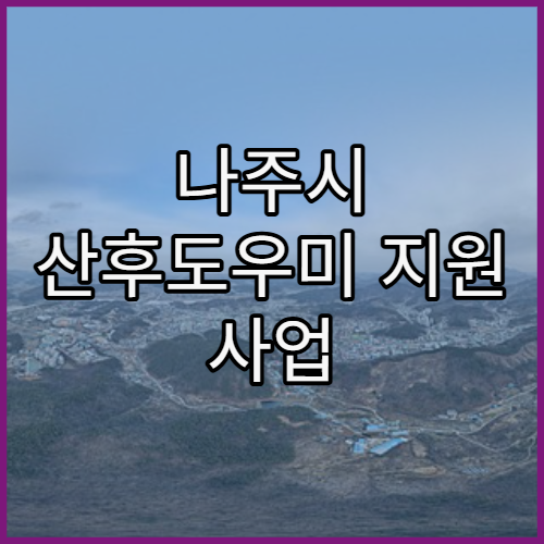 나주시 산후도우미 지원 사업 신청 방법