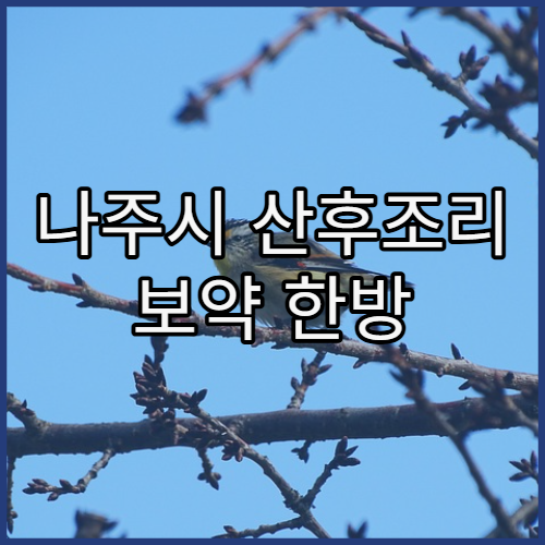 나주시 산후조리 보약 한방 처방 전문 한의원 정보