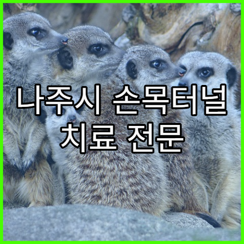 나주시 손목터널 치료 전문 병원 상세 안내