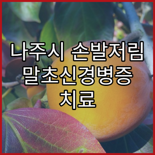 나주시 손발저림 말초신경병증 치료 가능한 병원 찾기와 진단 검사 과정 가이드