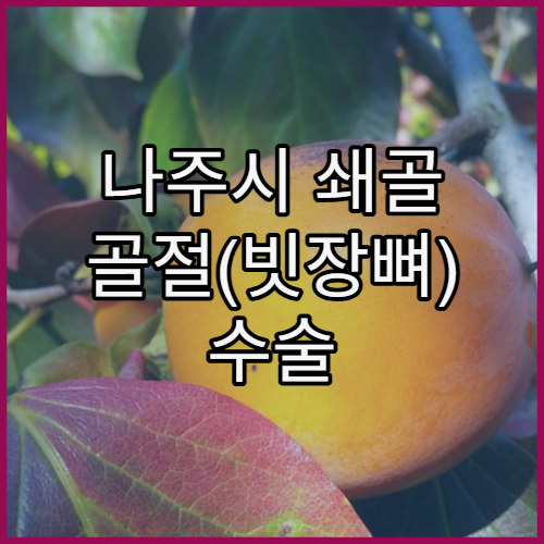 나주시 쇄골 골절(빗장뼈) 수술 및 회복 병원 추천과 보존요법 vs 수술 선택 가이드