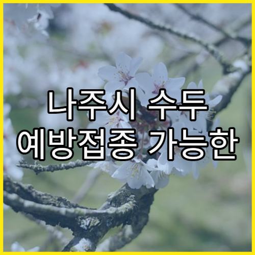 나주시 수두 예방접종 가능한 병원 추천과 연령별 접종 스케줄 정보 제공