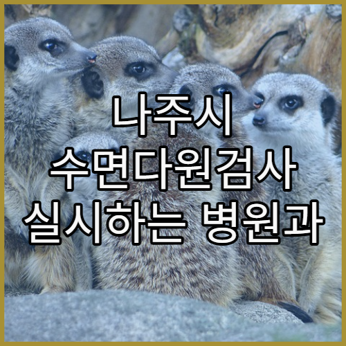 나주시 수면다원검사 실시하는 병원과 수면 장애 원인별 치료법 가이드
