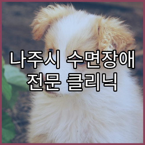 나주시 수면장애 전문 클리닉 생활 팁 병원