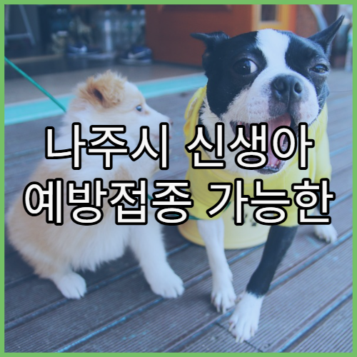 나주시 신생아 예방접종 가능한 병원 정보와 국가 필수 접종 항목 상세 목록