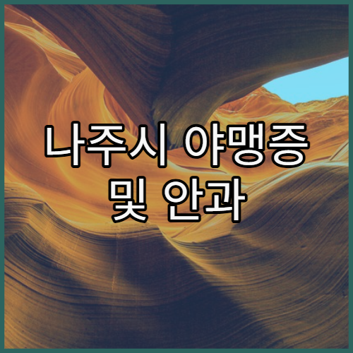 나주시 야맹증 및 안과 질환 검사 가능한 병원 정보와 야간시력 검사 및 영양 보충 팁