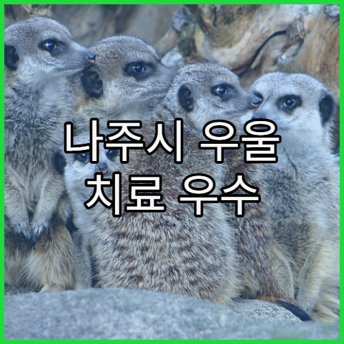 나주시 우울 치료 우수 정신과 병원 탐방