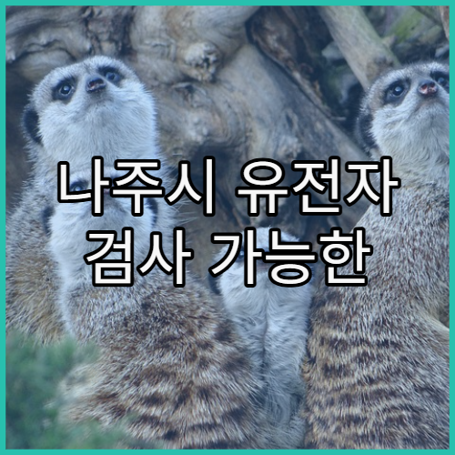 나주시 유전자 검사 가능한 병원 추천과 다양한 검사 방법 및 결과 활용 안내
