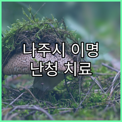 나주시 이명 난청 치료 잘하는 이비인후과 병원 찾기와 치료 과정 정보 제공
