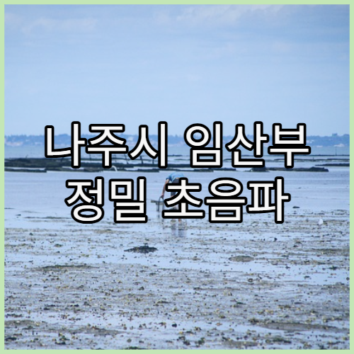 나주시 임산부 정밀 초음파 및 산전검사 가능한 병원과 주기별 검사 가이드