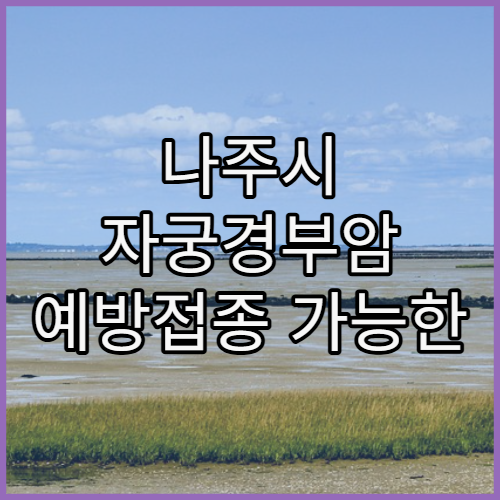 나주시 자궁경부암 예방접종 가능한 병원 추천과 비용 및 지원 혜택 안내